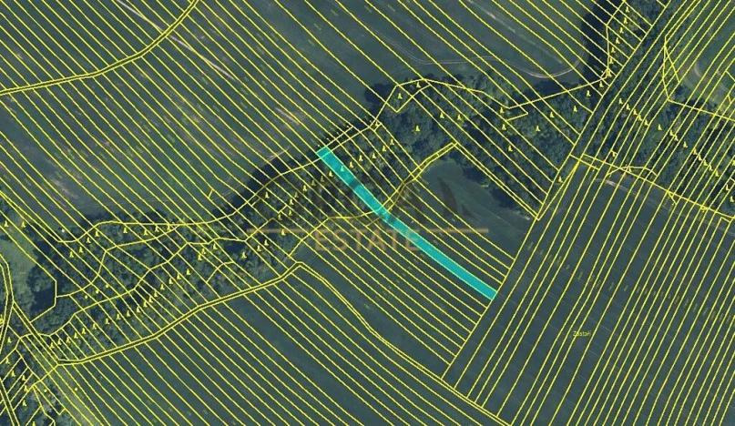 Prodej pole, Mistřice, 6356 m2