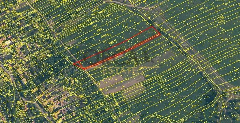 Prodej pole, Nová Lhota, 3529 m2