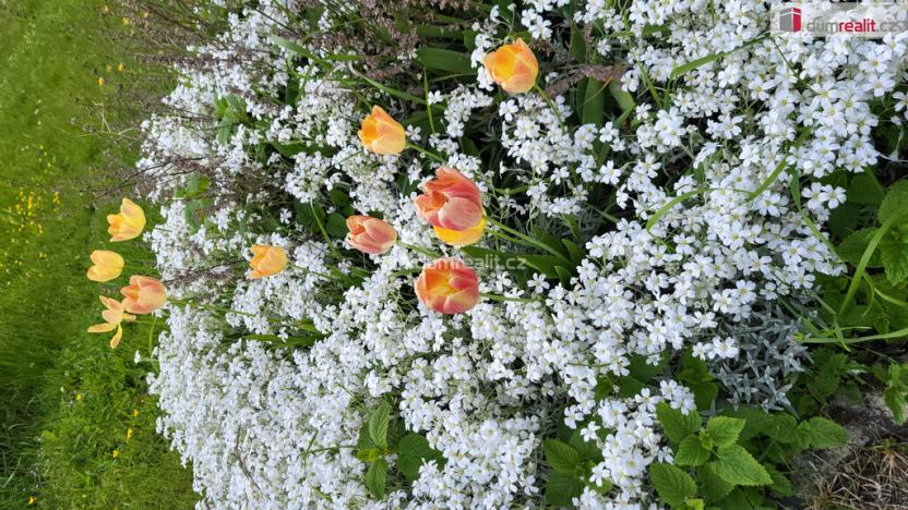 Prodej rodinného domu, Obora, 1543 m2