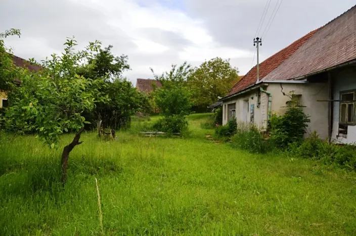 Prodej zemědělské usedlosti, Černíkovice, 80 m2