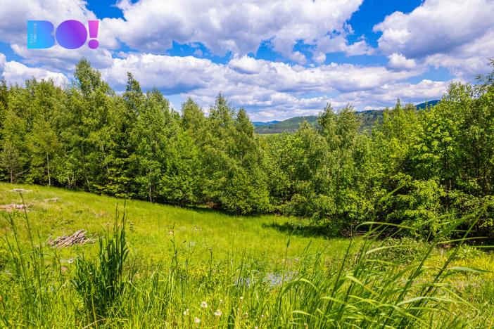 Prodej pozemku pro bydlení, Mosty u Jablunkova, 5690 m2