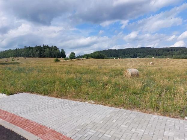 Prodej pozemku pro bydlení, Merklín, 1581 m2