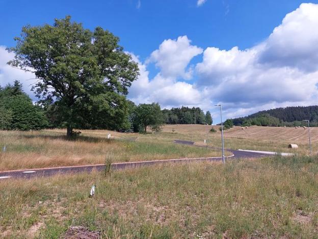 Prodej pozemku pro bydlení, Merklín, 1581 m2