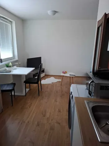 Pronájem bytu 1+kk, Přáslavice, 27 m2