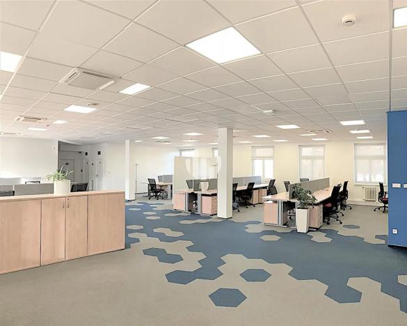 Pronájem kanceláře, Praha - Nusle, Závišova, 526 m2