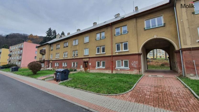 Prodej bytu 2+1, Litvínov - Horní Litvínov, Alešova, 57 m2