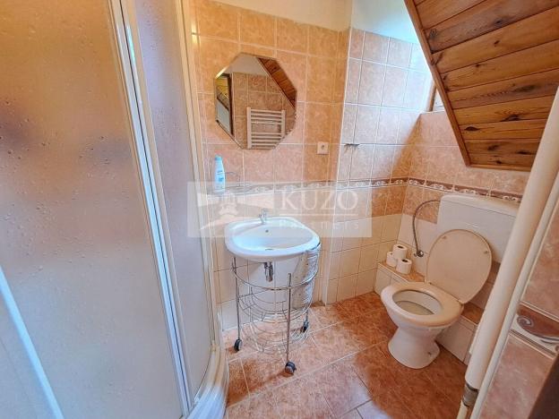 Prodej vícegeneračního domu, Zbytiny - Blažejovice, 453 m2