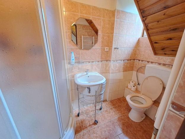 Prodej vícegeneračního domu, Zbytiny - Blažejovice, 453 m2