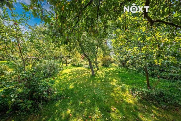 Prodej chalupy, Králíky, Hřbitovní, 133 m2