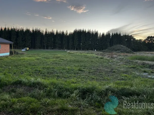 Prodej pozemku pro bydlení, Trhové Sviny, Rejta, 972 m2