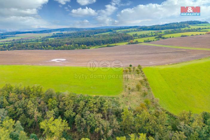 Prodej louky, Spálené Poříčí - Struhaře, 4161 m2