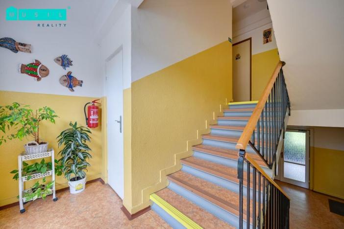 Prodej bytu 3+1, Olomouc - Nová Ulice, V hlinkách, 64 m2