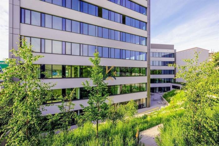 Pronájem kanceláře, Praha - Smíchov, Plzeňská, 1316 m2