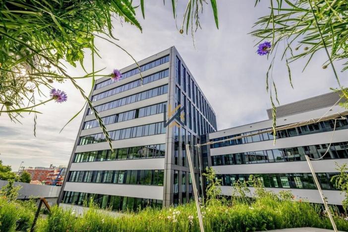 Pronájem kanceláře, Praha - Smíchov, Plzeňská, 1316 m2