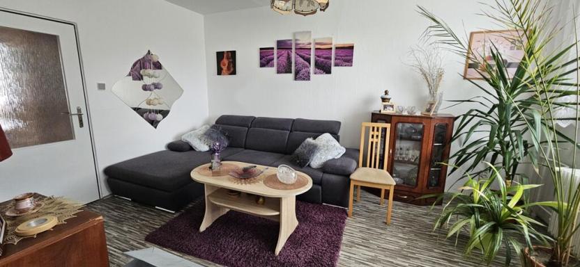 Prodej bytu 2+1, Lipová-lázně, 56 m2