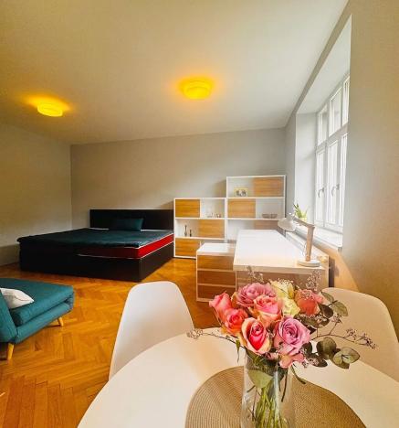 Pronájem bytu 1+kk, Brno, Úvoz, 51 m2