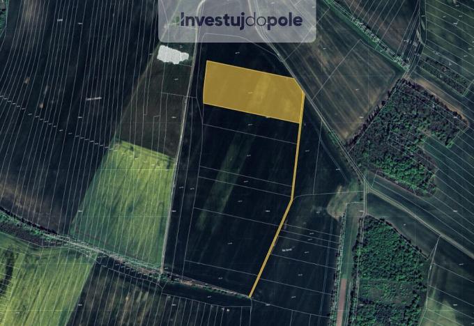 Prodej pole, Medlice, 2353 m2
