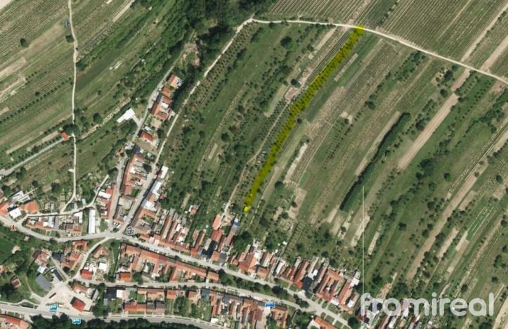 Prodej pozemku, Blatnice pod Svatým Antonínkem, 2450 m2