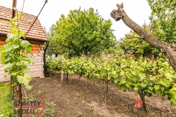 Prodej rodinného domu, Perná, 403 m2