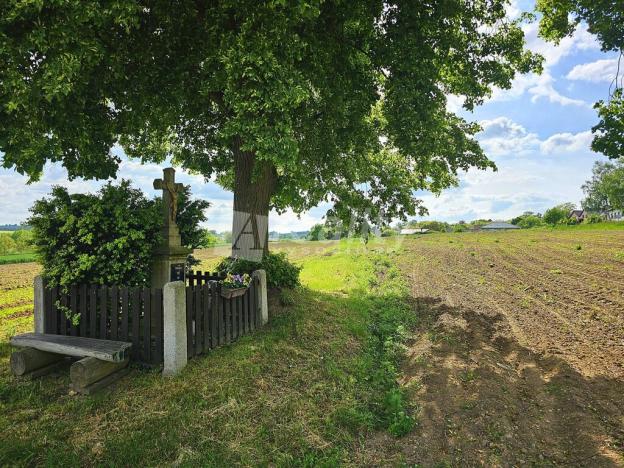 Prodej pozemku pro bydlení, Kochánov, 2895 m2