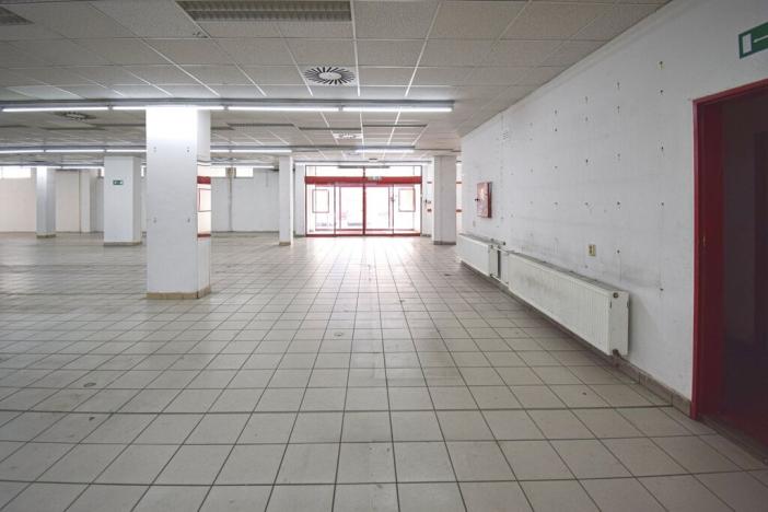 Pronájem obchodního prostoru, Plzeň - Lobzy, Sousedská, 1250 m2