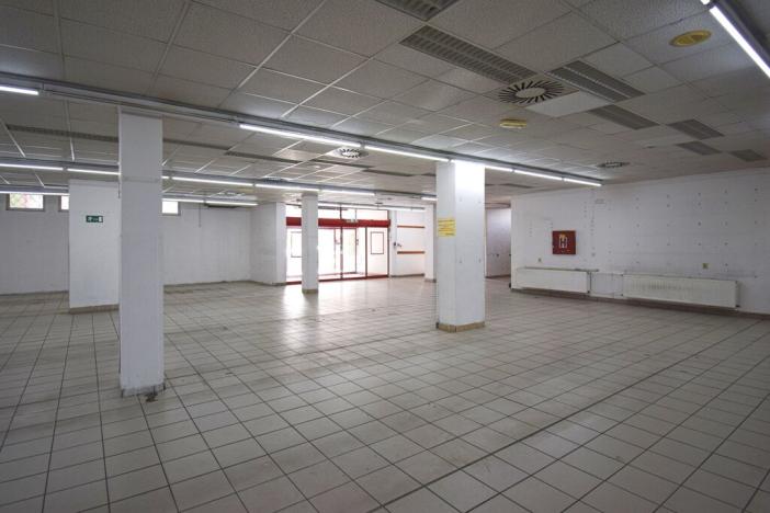 Pronájem obchodního prostoru, Plzeň - Lobzy, Sousedská, 1250 m2