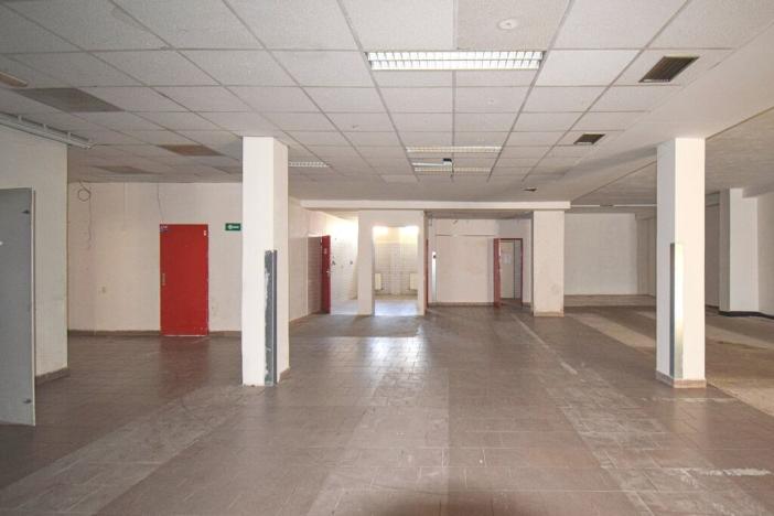 Pronájem obchodního prostoru, Plzeň - Lobzy, Sousedská, 1250 m2