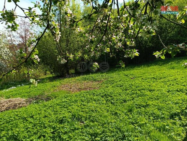 Prodej louky, Rychnov nad Kněžnou, 2141 m2