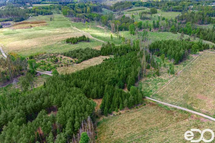 Prodej lesa, Jetětice, 79500 m2