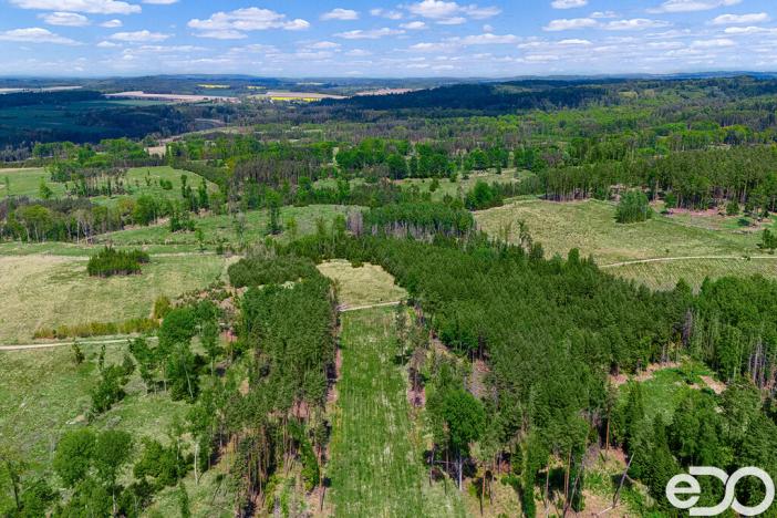 Prodej lesa, Jetětice, 79500 m2