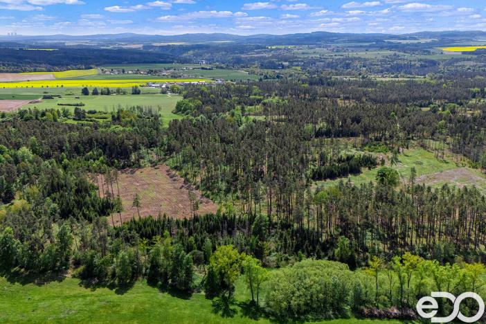 Prodej lesa, Jetětice, 79500 m2