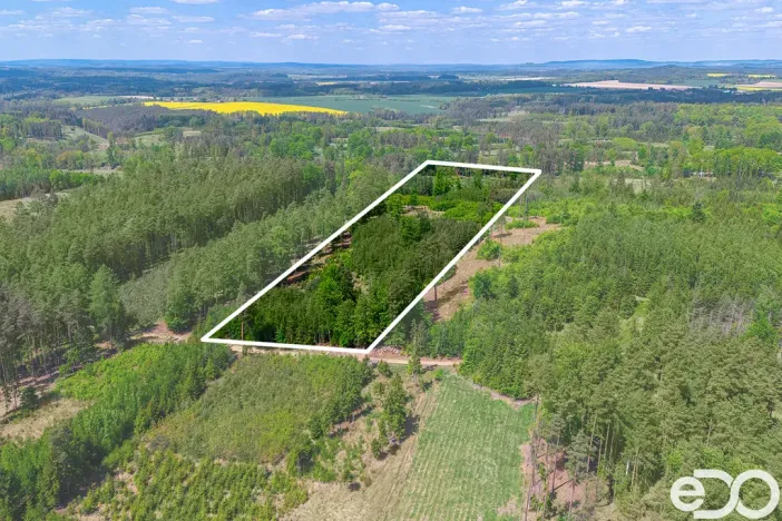 Prodej lesa, Jetětice, 79500 m2