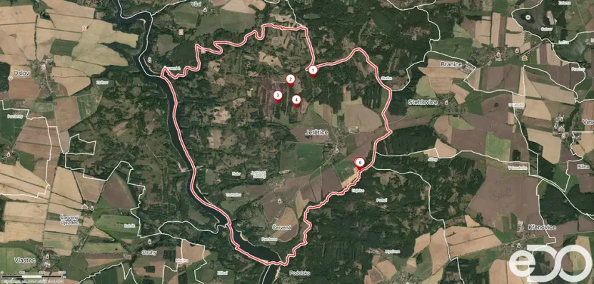 Prodej lesa, Jetětice, 79500 m2