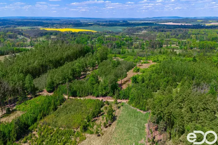 Prodej lesa, Jetětice, 79500 m2