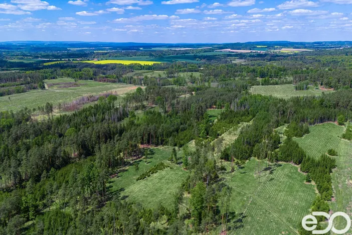 Prodej lesa, Jetětice, 79500 m2