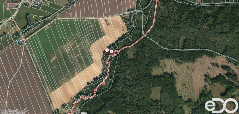 Prodej lesa, Jetětice, 79500 m2