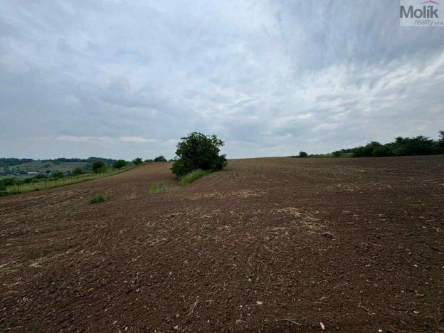 Prodej pozemku pro bydlení, Jeviněves, 1165 m2