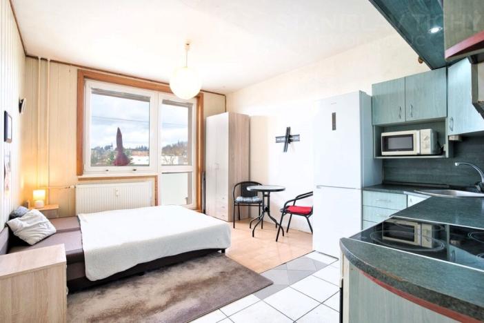 Pronájem bytu 1+kk, Moravský Beroun, Partyzánská, 20 m2