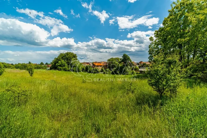 Prodej pozemku pro bydlení, Ledčice, 3164 m2