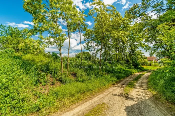 Prodej pozemku pro bydlení, Ledčice, 3164 m2