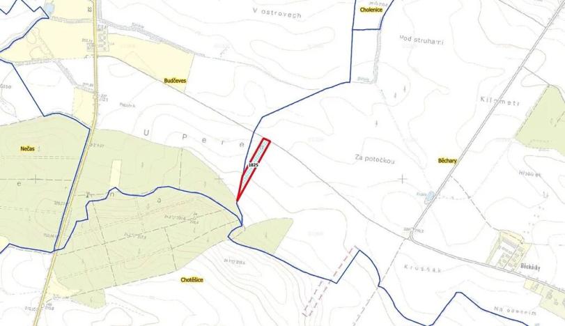 Prodej pole, Běchary, 12202 m2