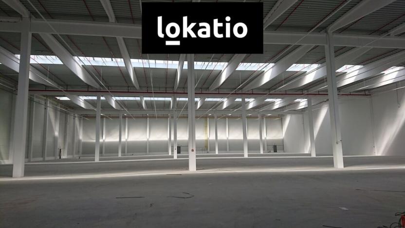 Pronájem skladu, Vyškov, 28868 m2