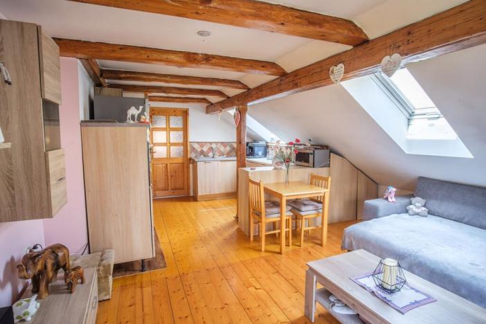 Prodej rodinného domu, Litoměřice - Předměstí, Jarošova, 245 m2