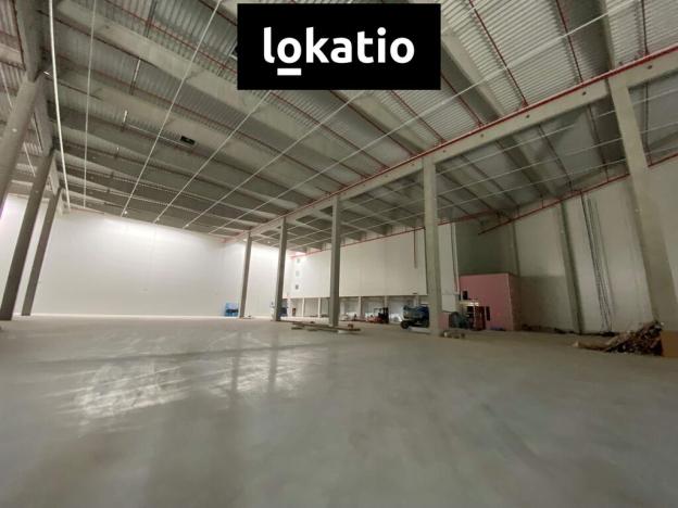 Pronájem skladu, Mohelnice, 1000 m2