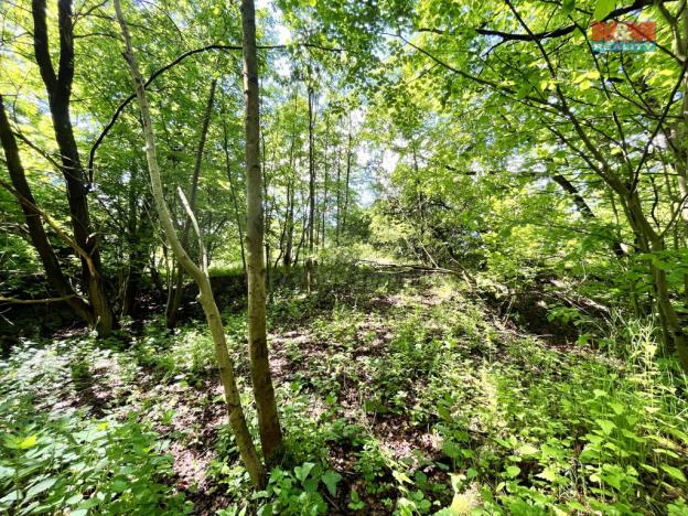 Prodej rybníku, Skalice u České Lípy, 3255 m2