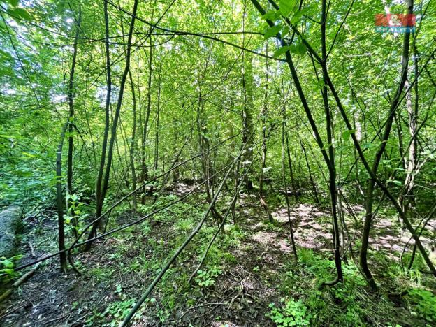 Prodej rybníku, Skalice u České Lípy, 3255 m2