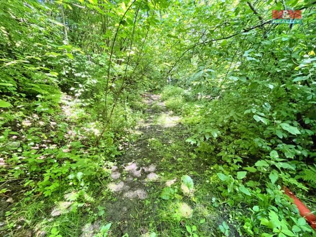 Prodej rybníku, Skalice u České Lípy, 3255 m2