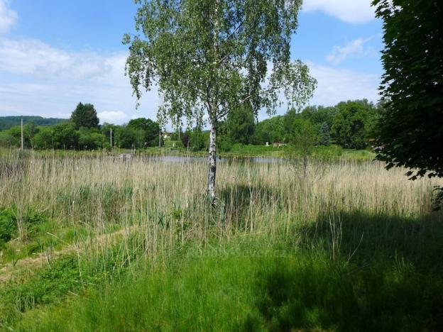 Prodej rodinného domu, Dolní Poustevna - Karlín, 150 m2