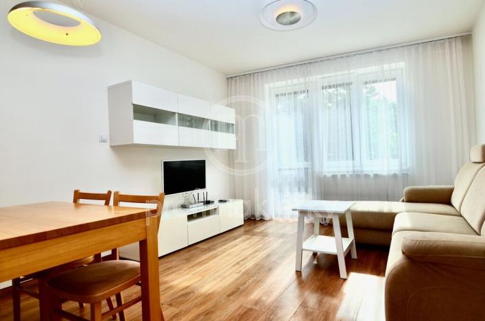 Pronájem bytu 2+kk, Brno, Rázusova, 52 m2