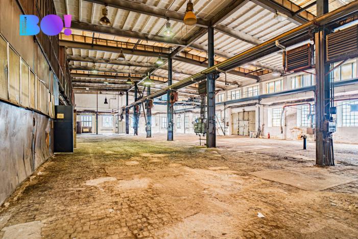 Prodej výrobních prostor, Frýdlant nad Ostravicí, 1147 m2